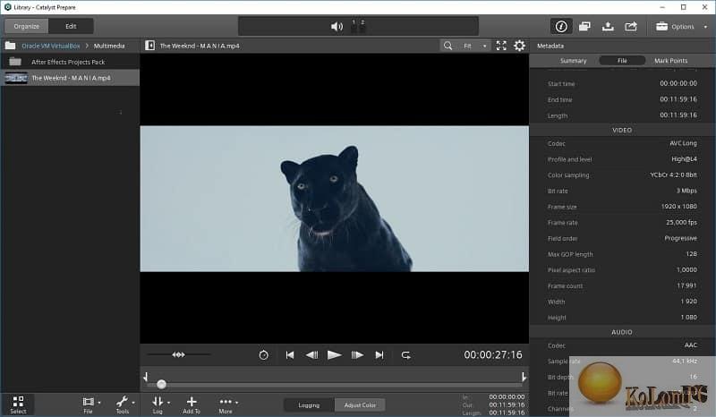Sony Catalyst Production Suite 2023.2.1 free instals