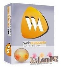 Intuisphere WebAcappella E-Commerce