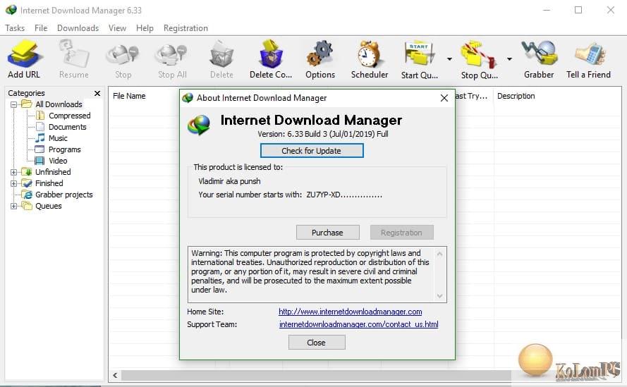 Internet Download Manager settings