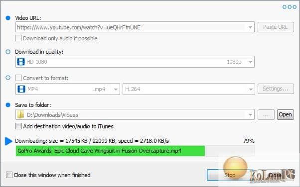 Robin YouTube Video Downloader Pro settings