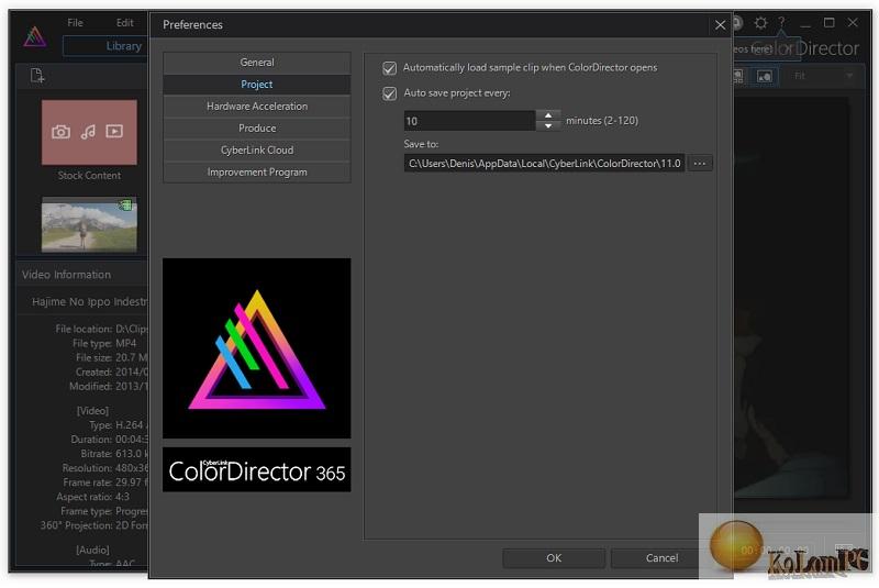 ColorDirector settings 2